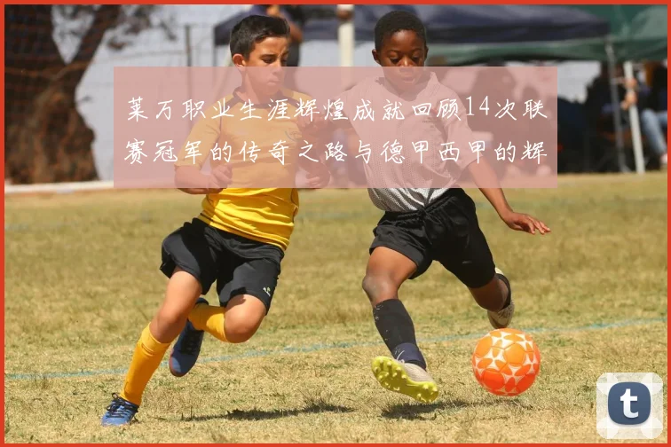莱万职业生涯辉煌成就回顾14次联赛冠军的传奇之路与德甲西甲的辉煌历程